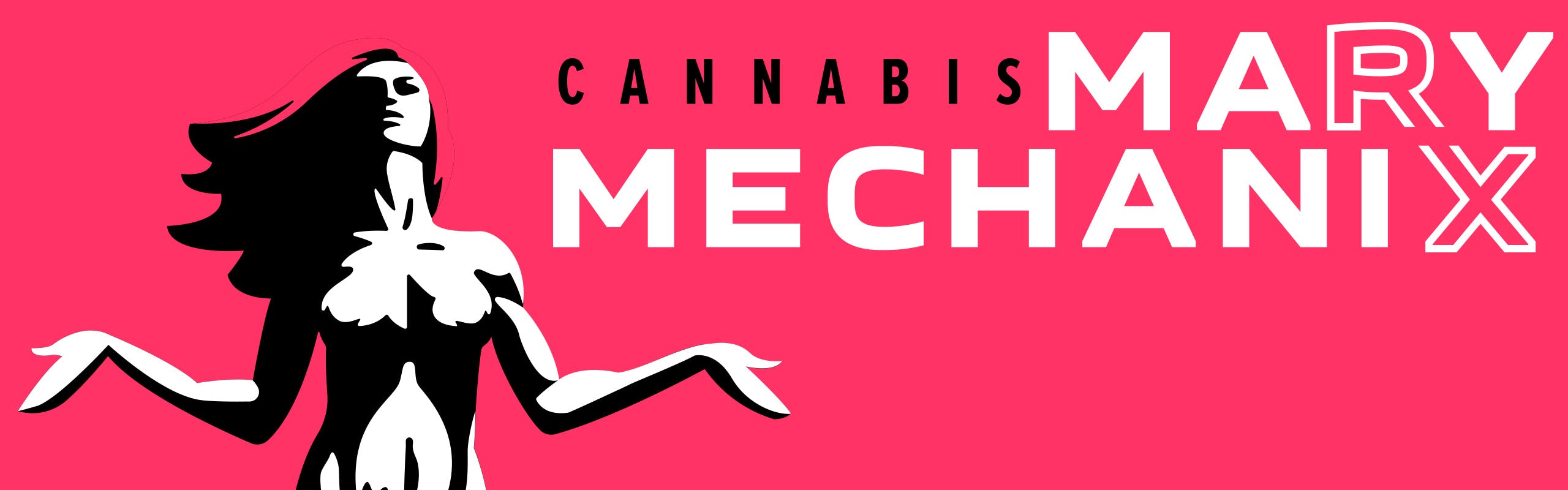 Mary Mechanix brand banner