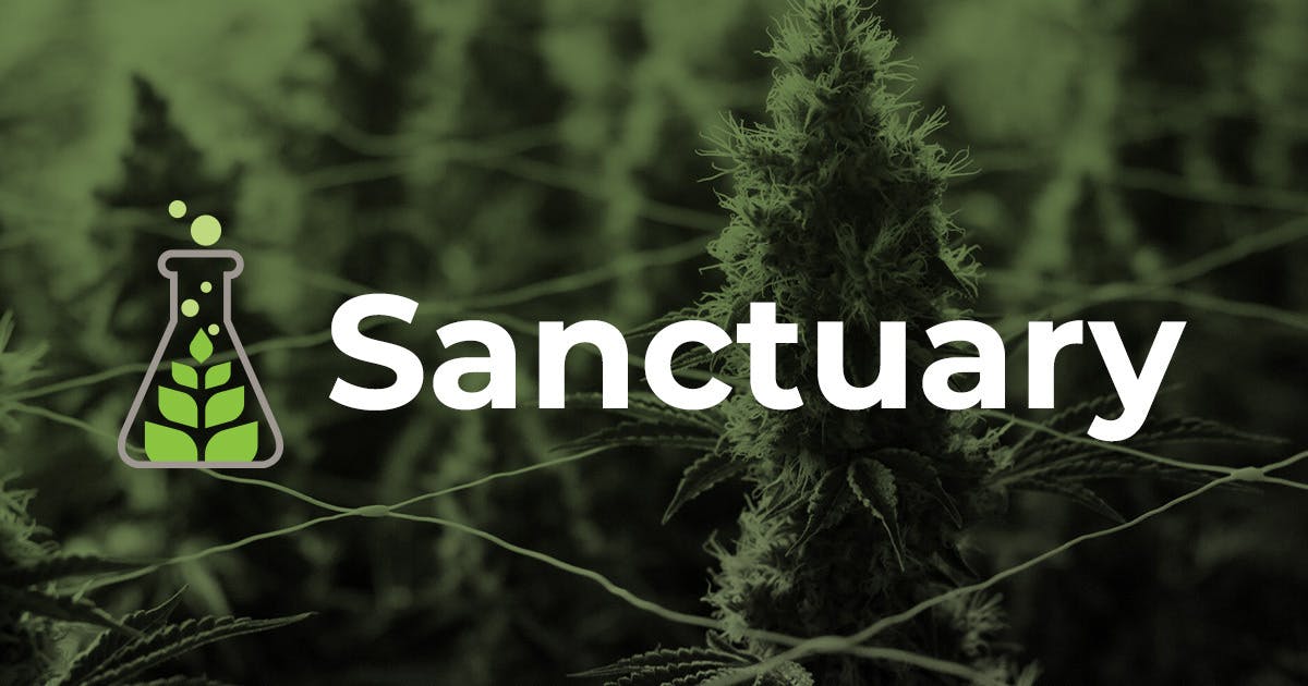 Sanctuary Medicinals brand banner