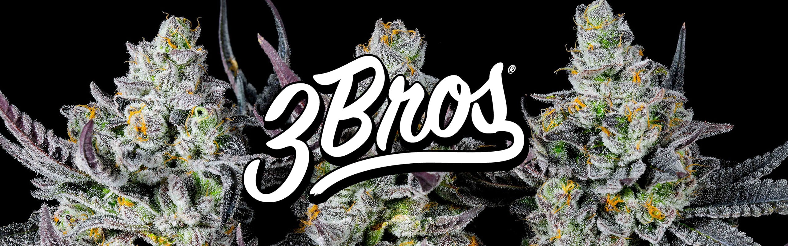 3 Bros Grow brand banner