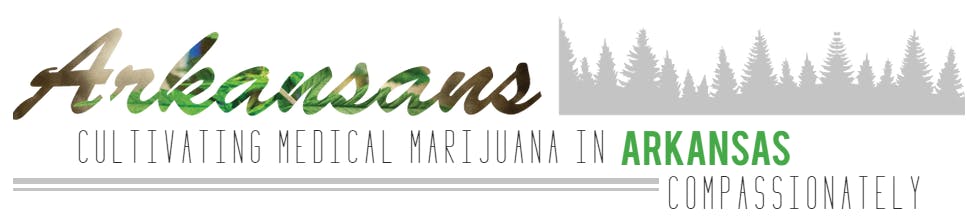 Natural State Medicinals brand banner