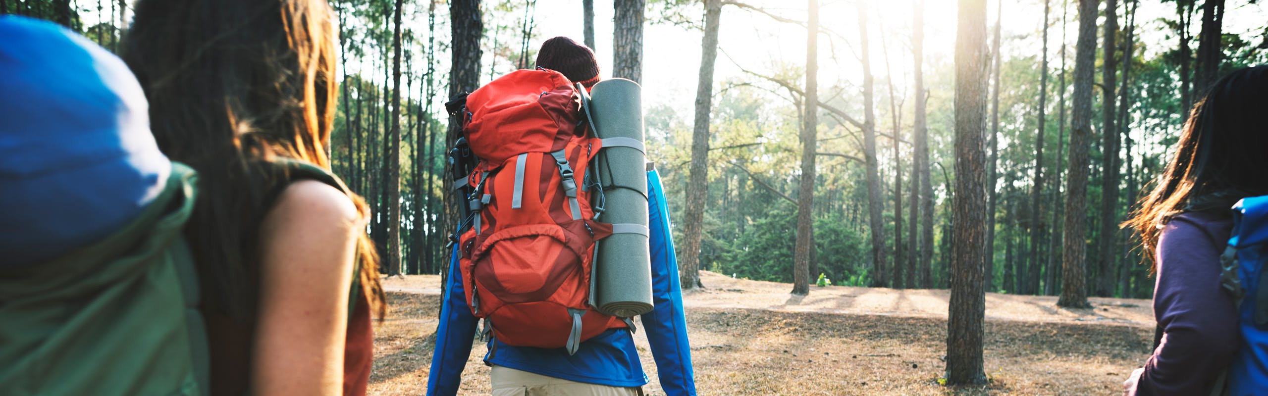 IHP - Integrative Health Products brand banner