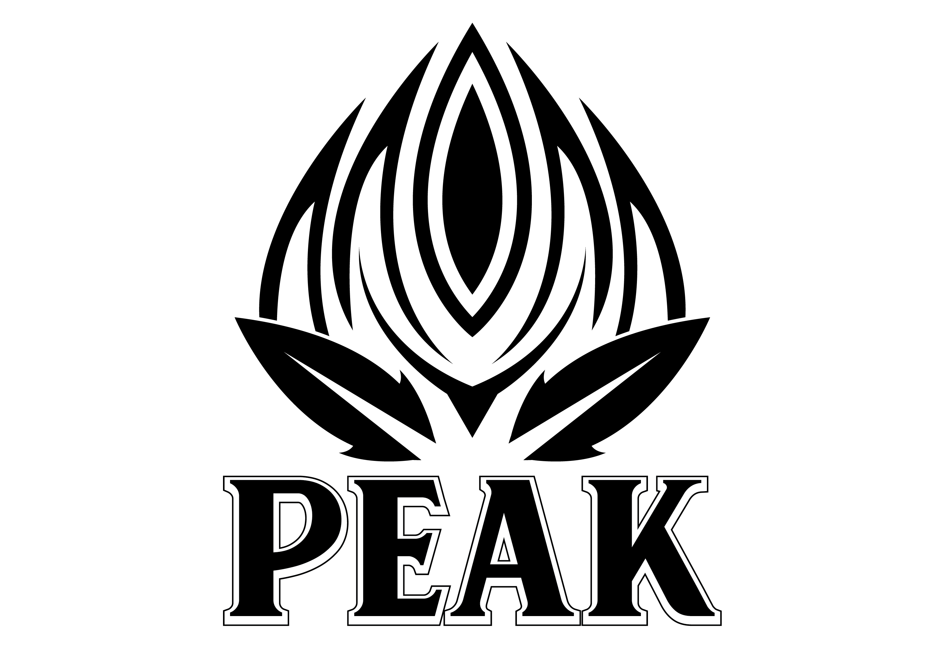 Peak Maine Cannabis brand banner