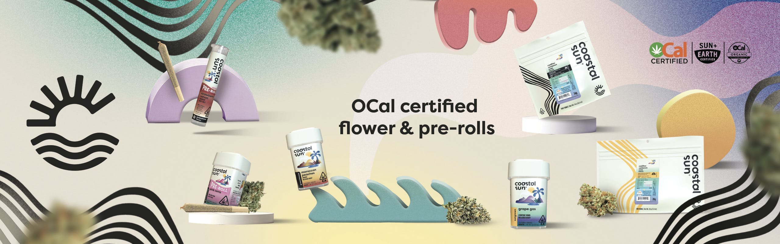 Coastal Sun brand banner