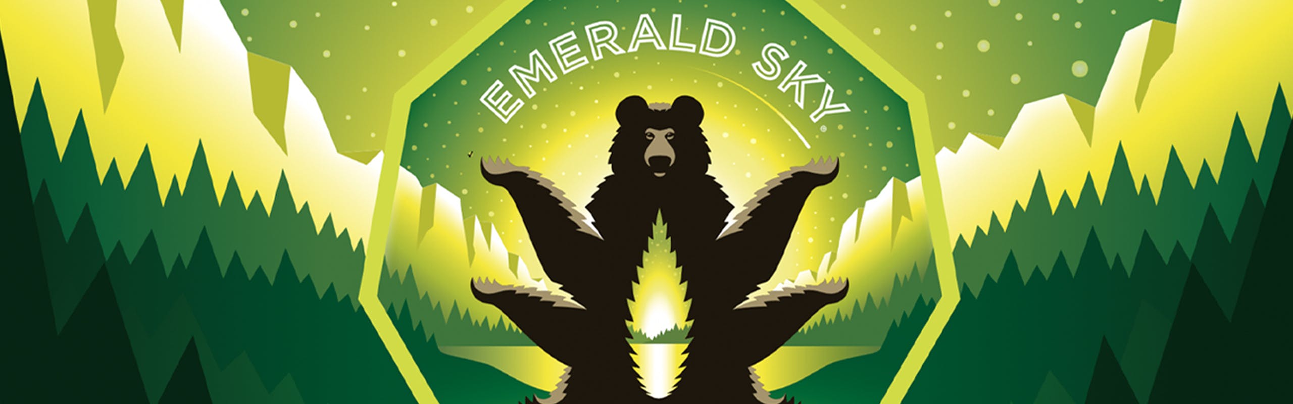 Emerald Sky brand banner