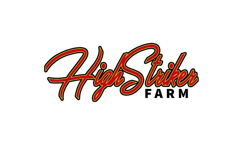 High Striker Farm
