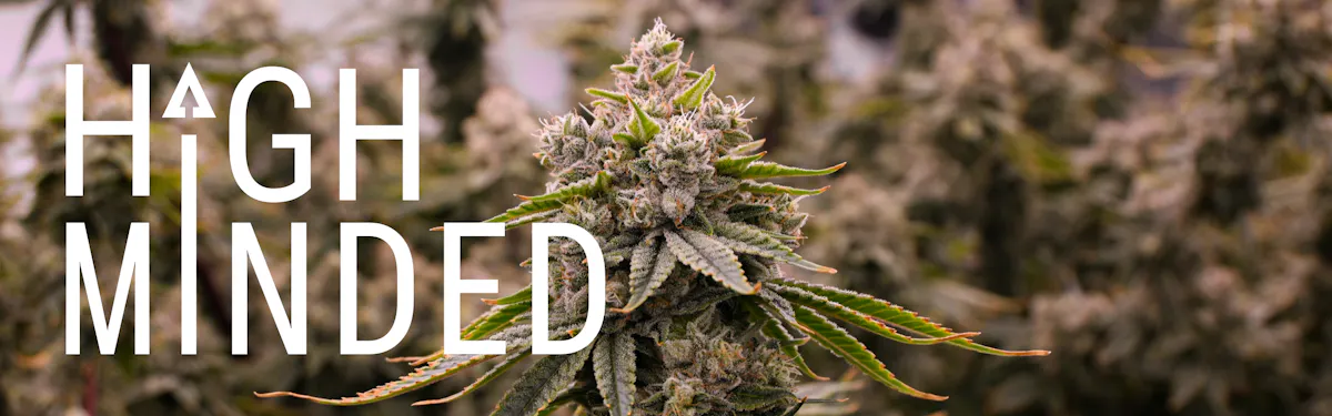 High Minded brand banner