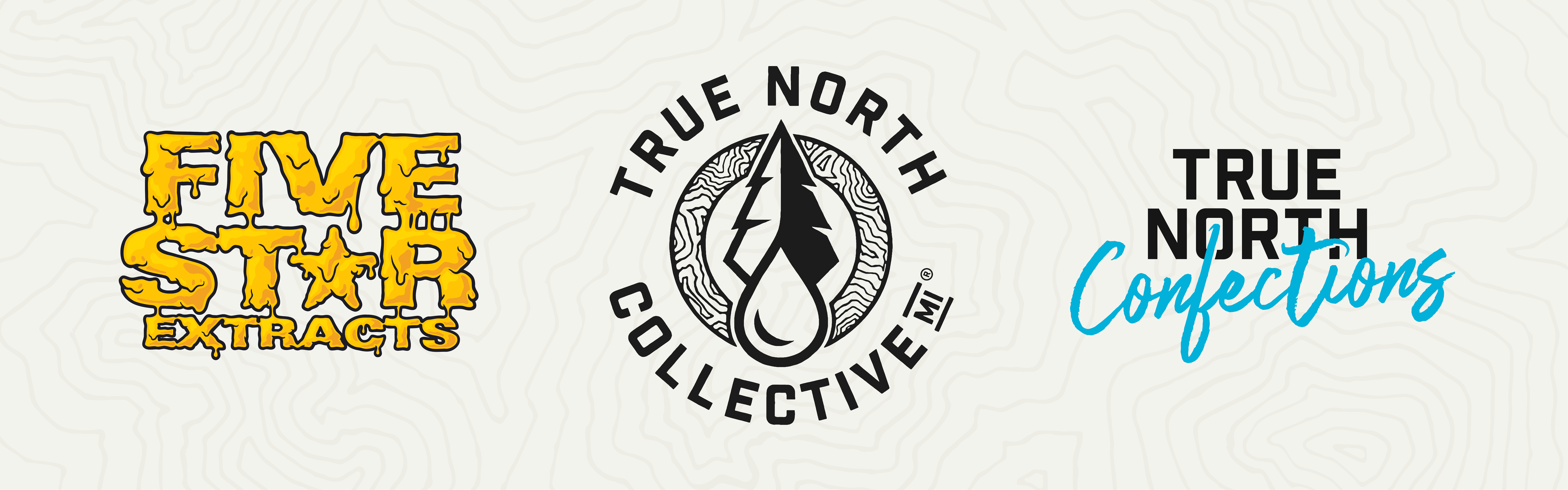 True North Collective MI brand banner
