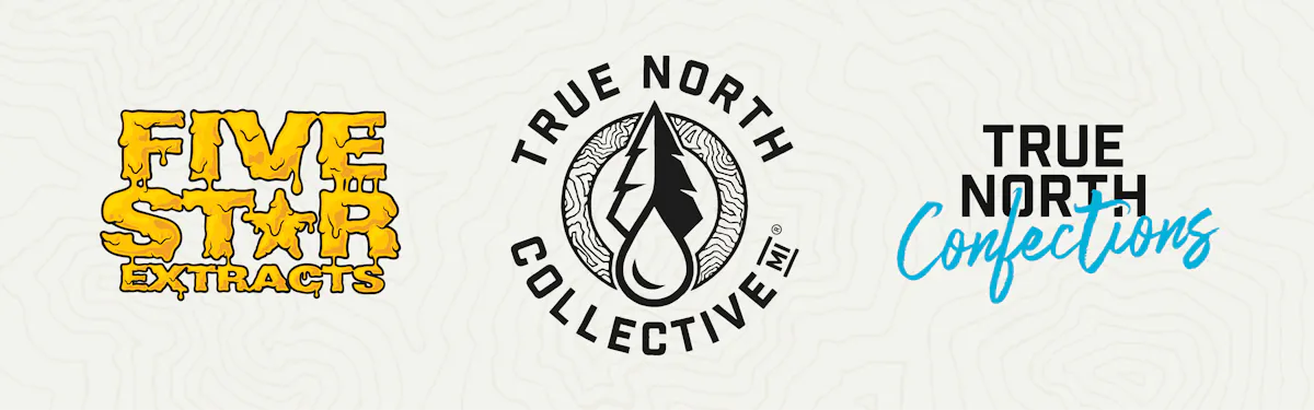 True North Collective MI brand banner