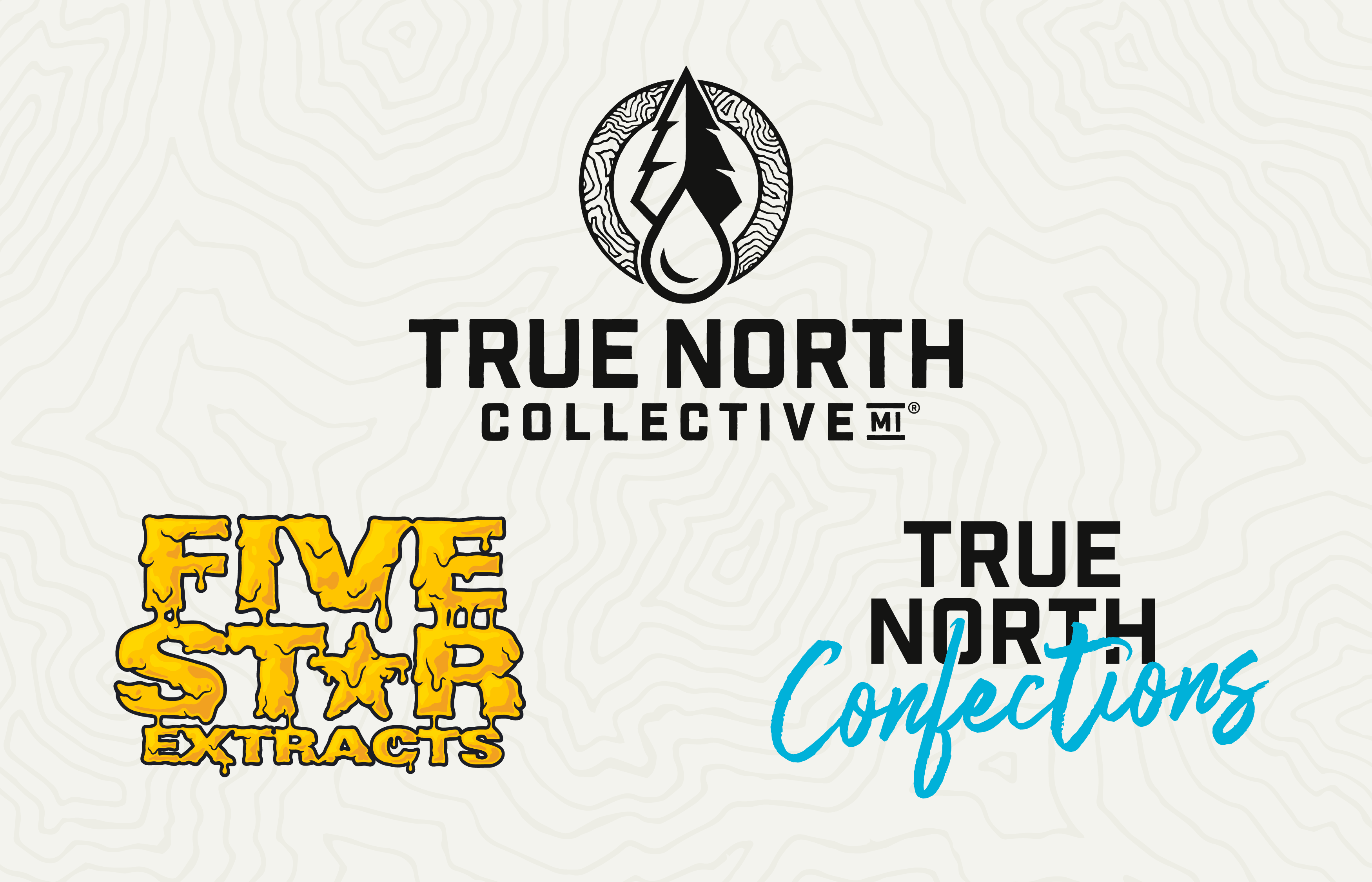 True North Collective MI