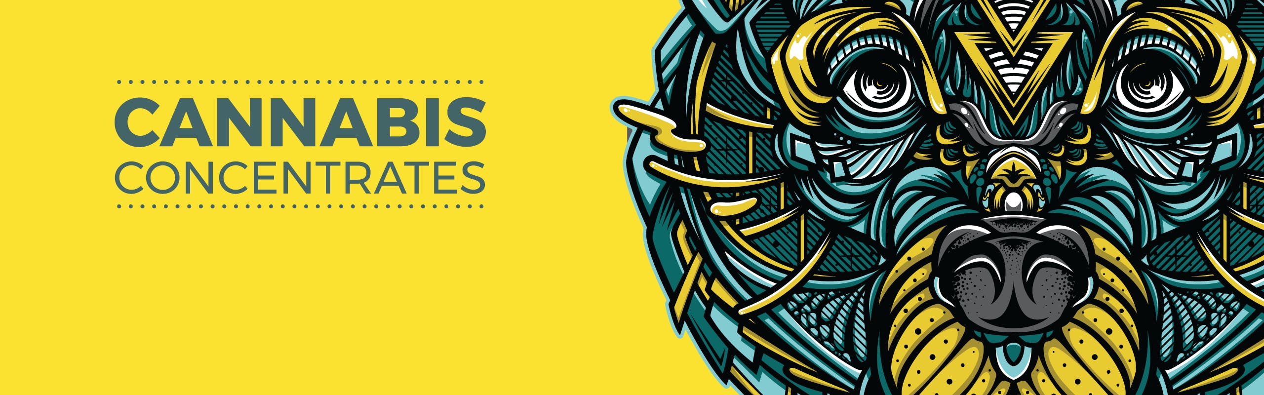 Bear Labs brand banner