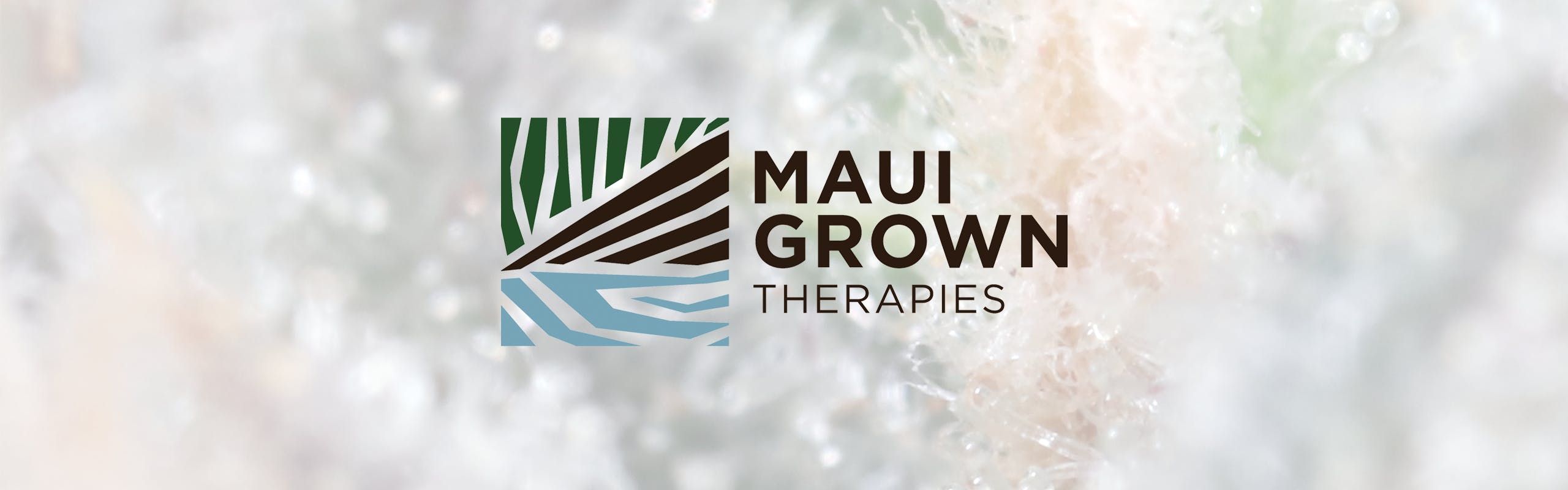 Maui Grown Therapies - Brand brand banner