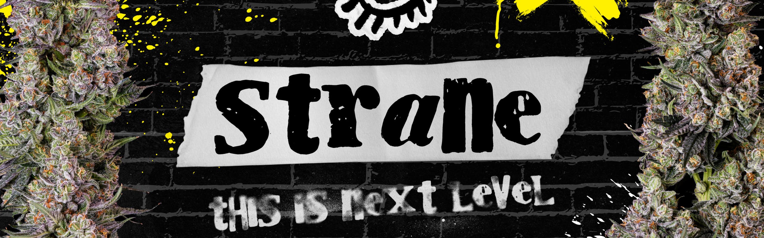 Strane brand banner