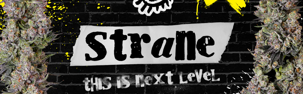 Strane brand banner