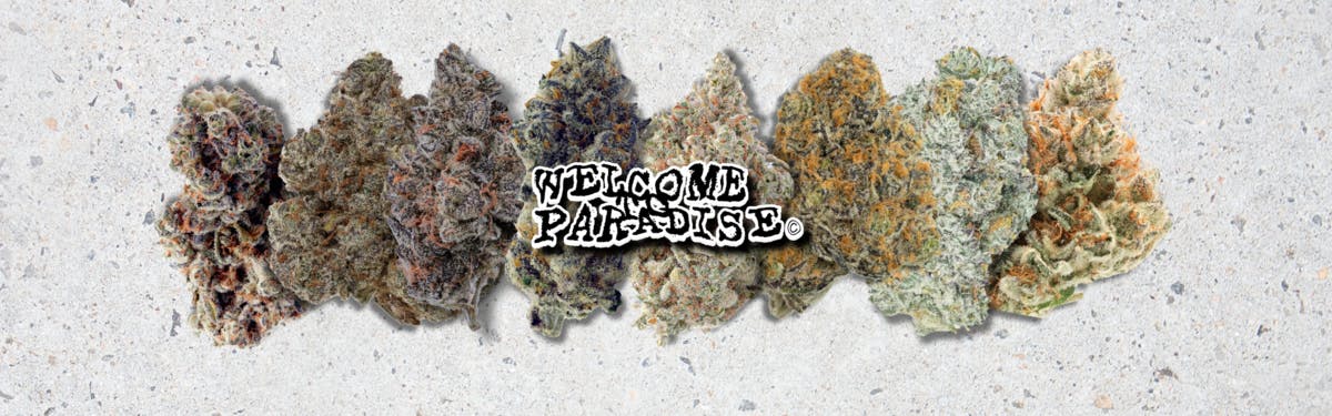 PARADISE SMOKES brand banner