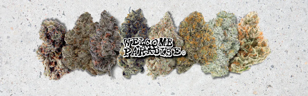 PARADISE SMOKES brand banner