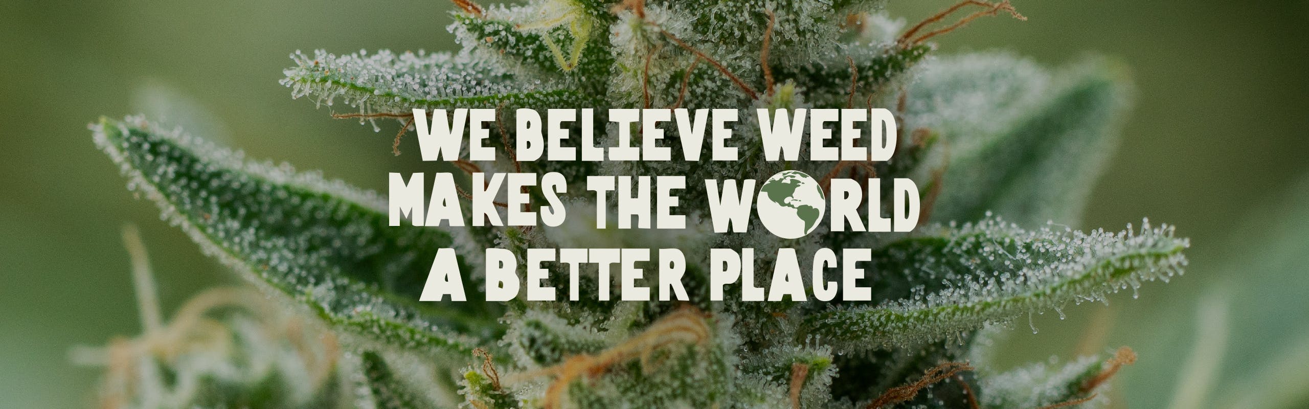 Glass House Farms brand banner
