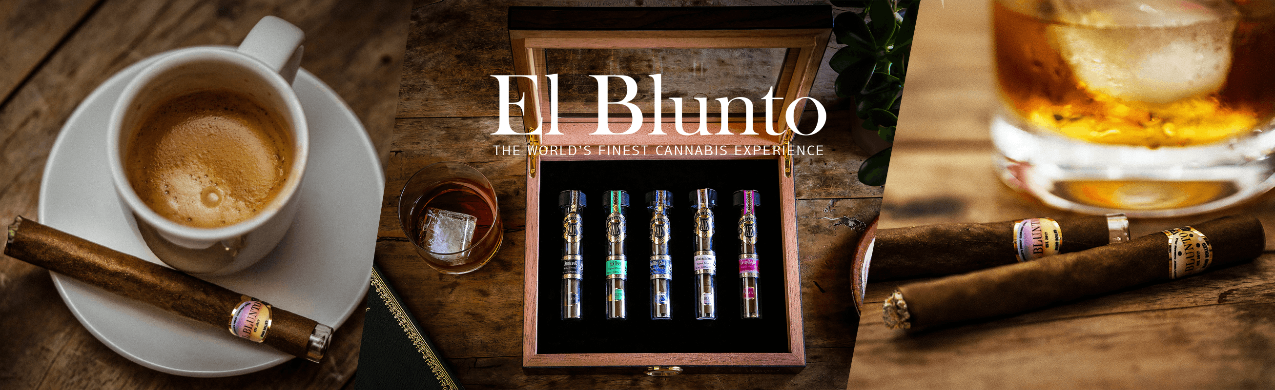 El Blunto by Albert Einstone's brand banner