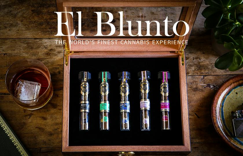 El Blunto by Albert Einstone's