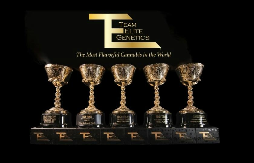 Team Elite Genetics