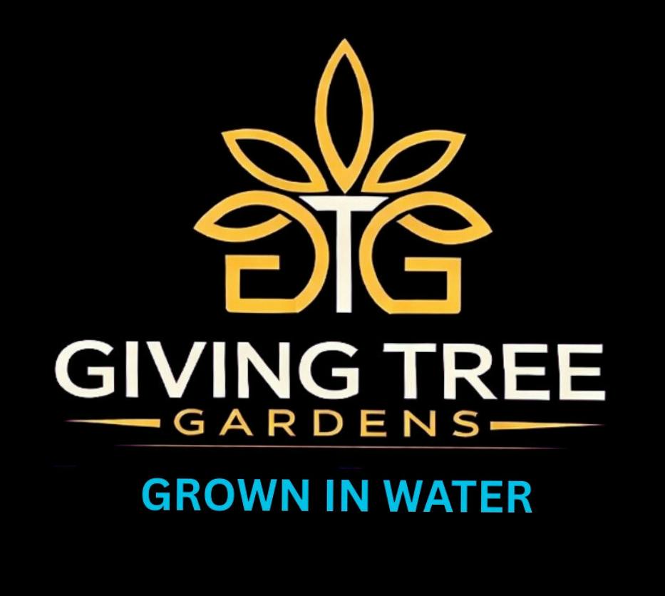 Giving Tree Gardens