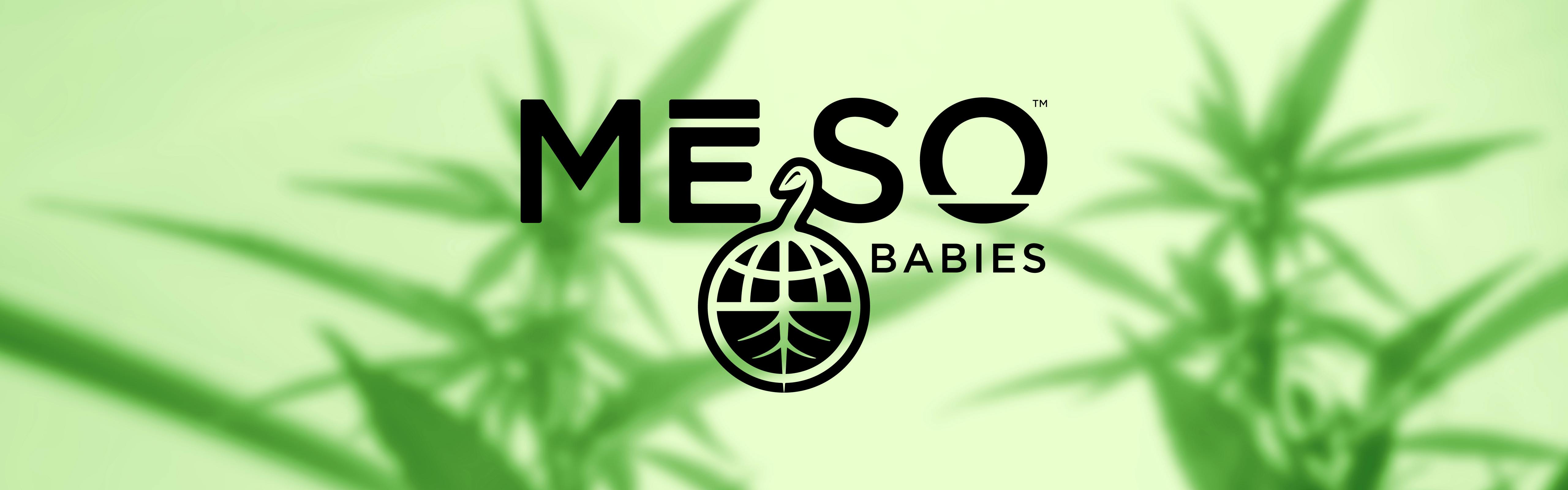 MESO Babies Farm brand banner