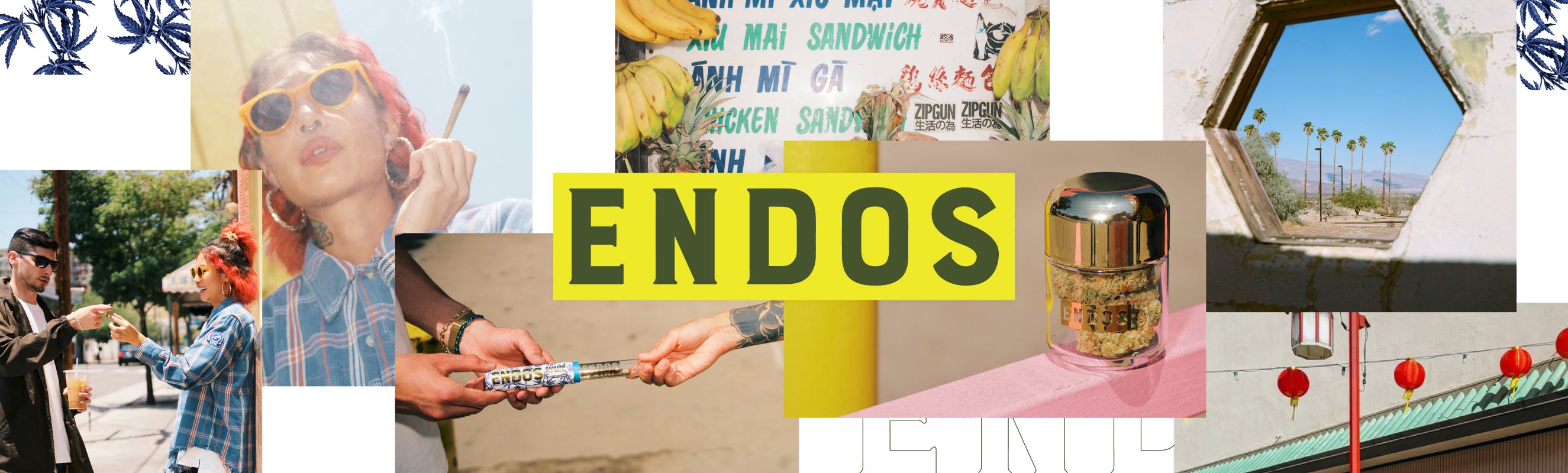ENDOS brand banner