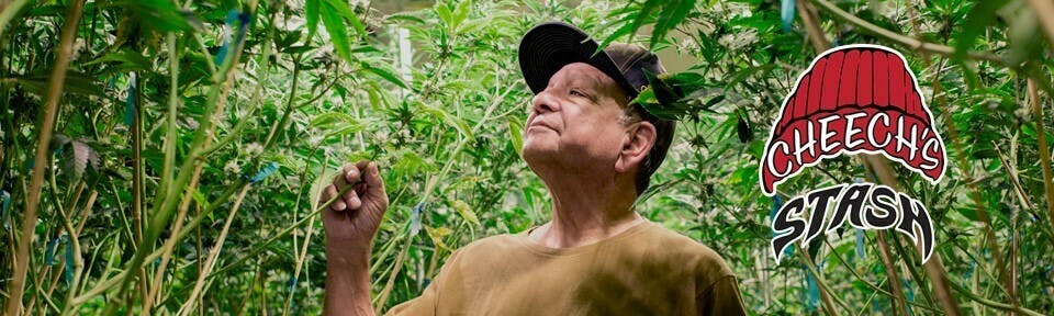 Cheech's Stash brand banner