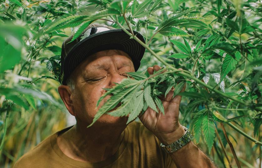 Cheech's Stash