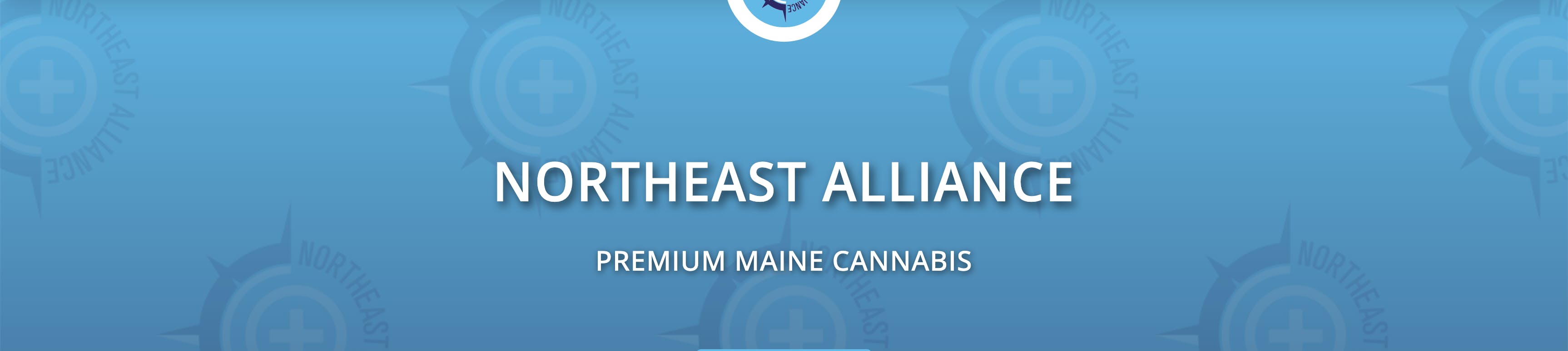 Northeast Alliance brand banner