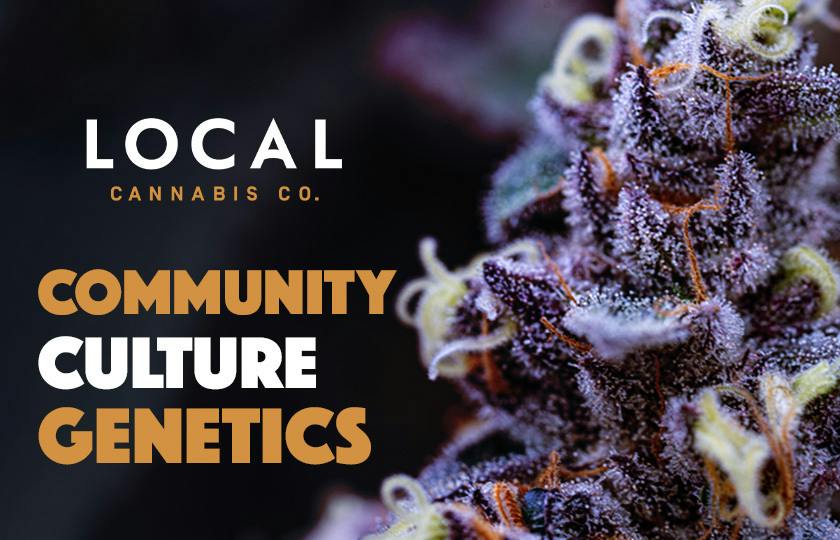 Local Cannabis Company