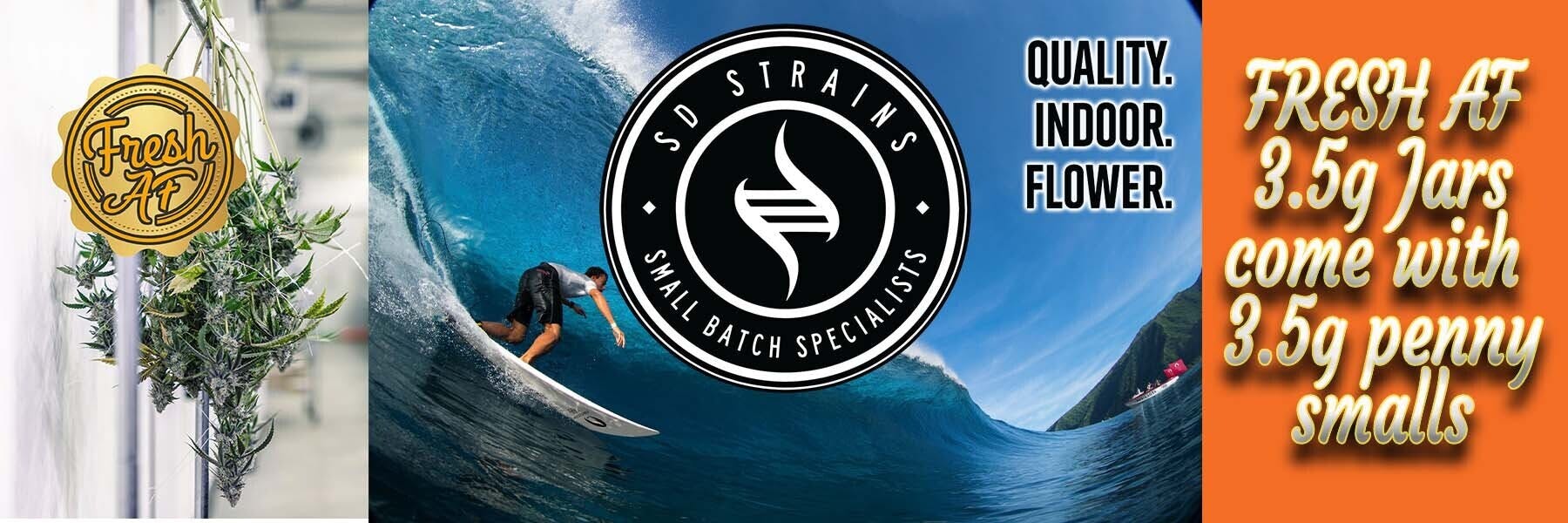 SD STRAINS brand banner