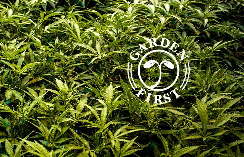 Garden First Cannabis