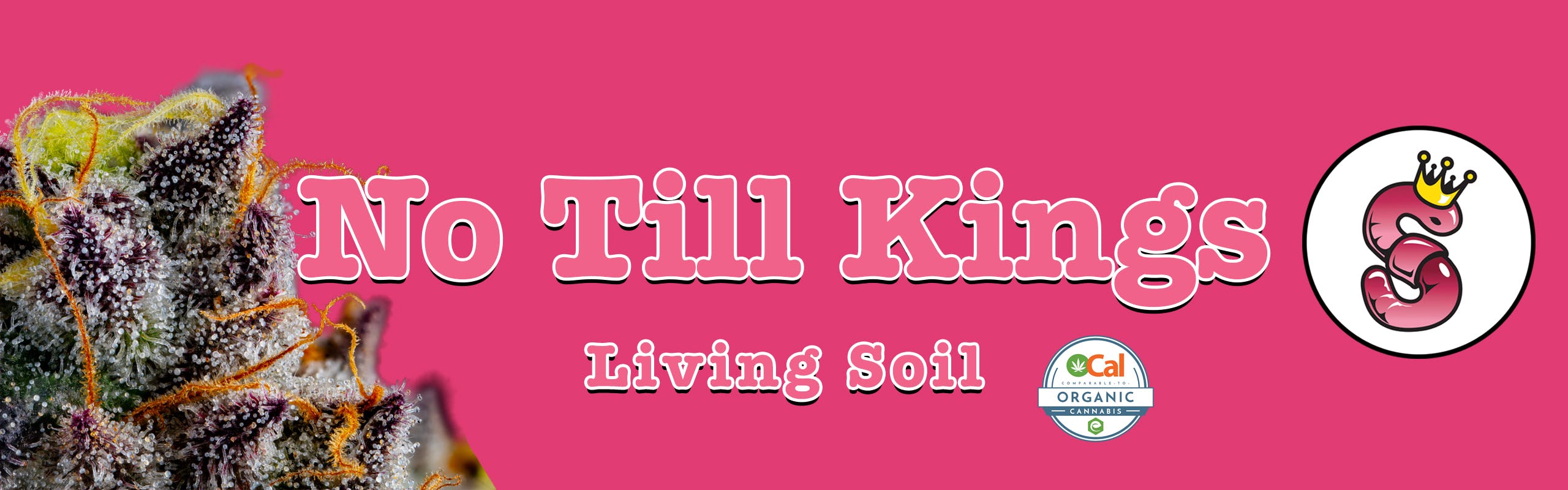 No Till Kings brand banner