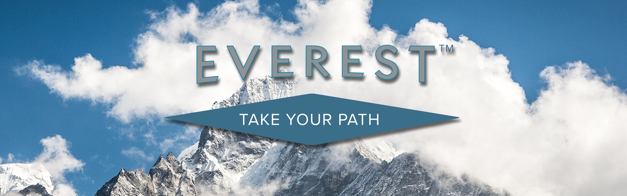 Everest Concentrates brand banner