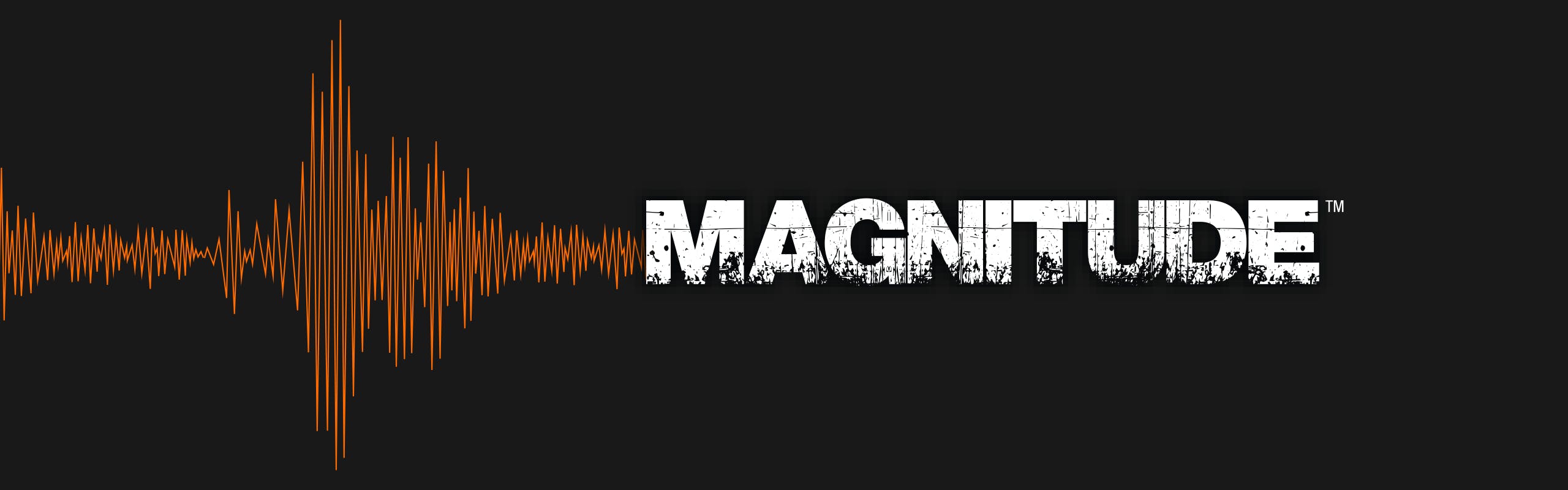 Magnitude brand banner