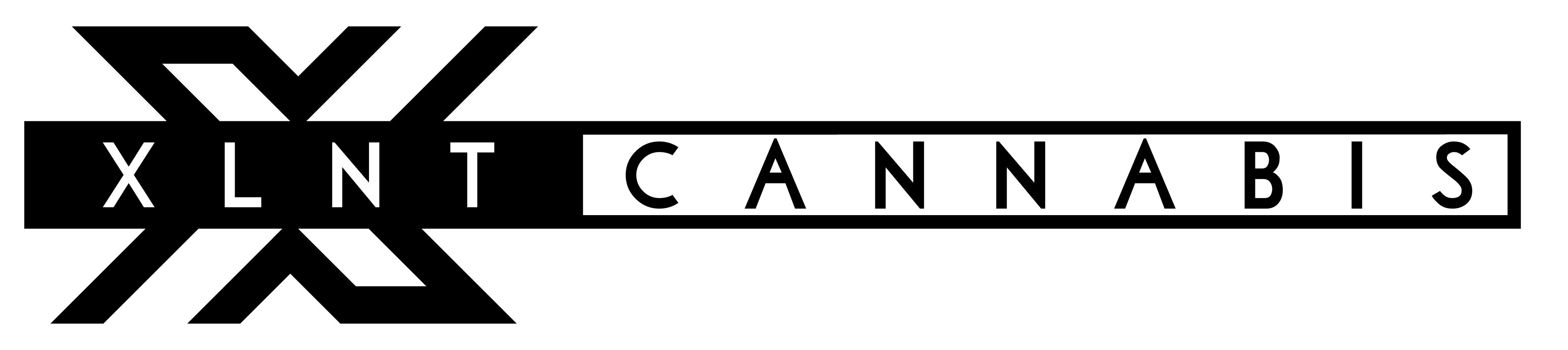 Kims Connections brand banner