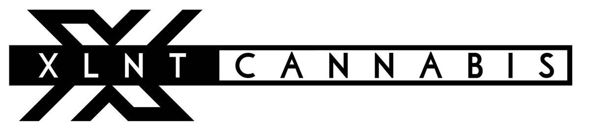 Kims Connections brand banner