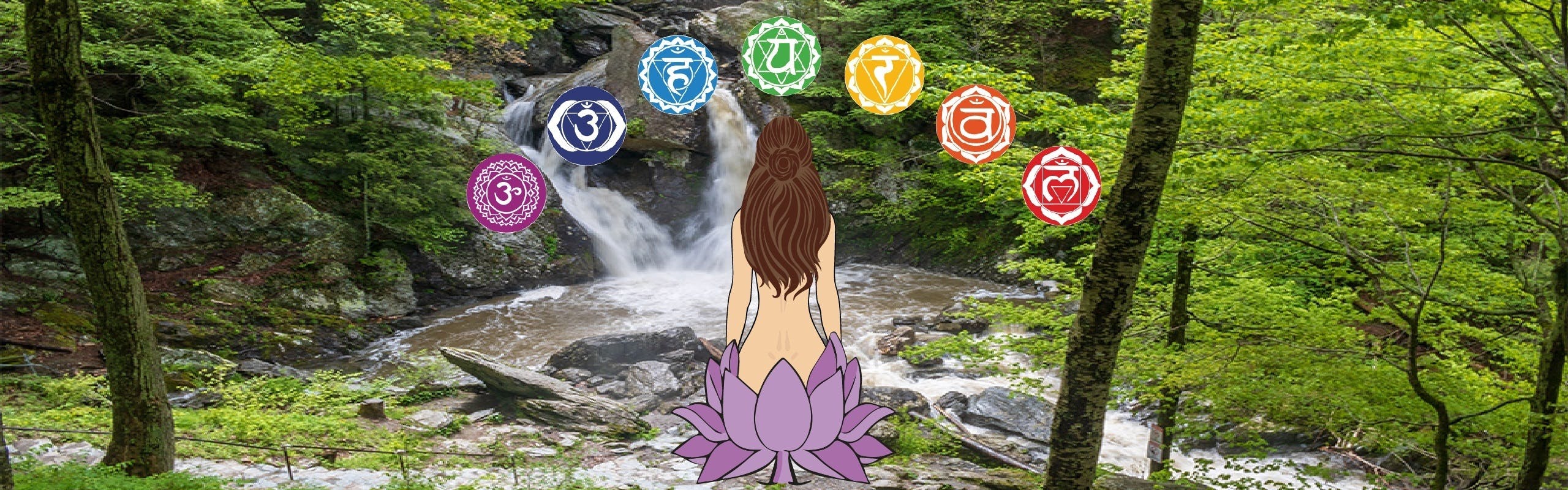 Nature's Miracle brand banner