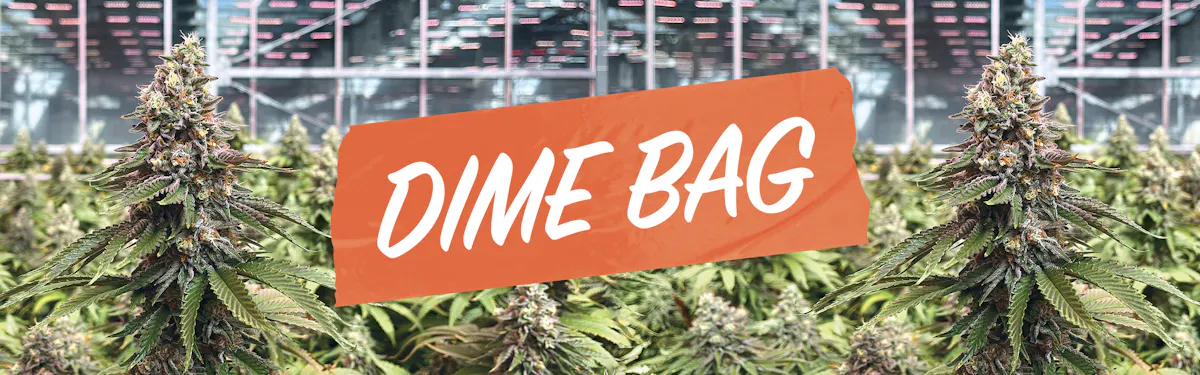 Dime Bag brand banner