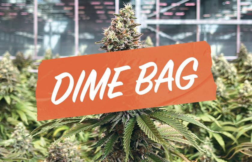 Dime Bag