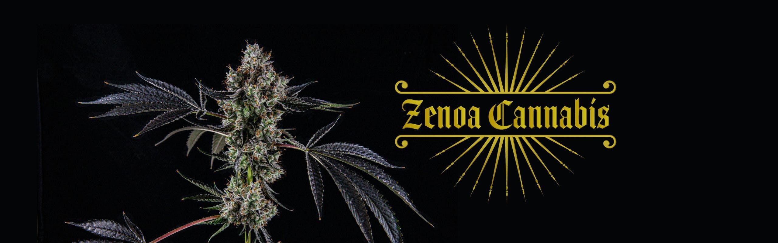 Zenoa brand banner
