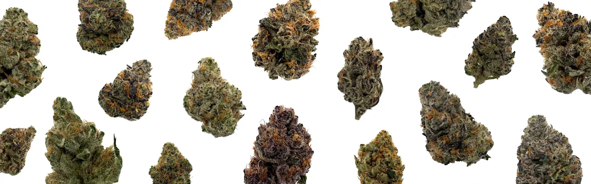F5 Farms brand banner