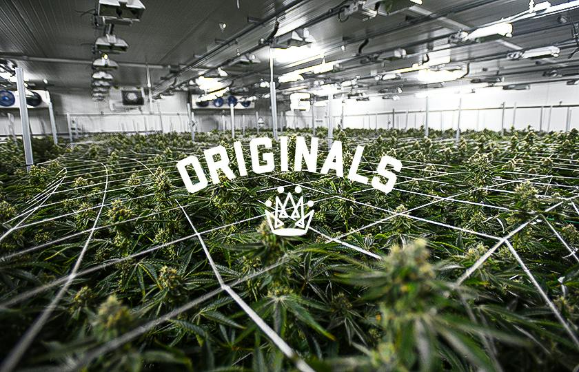 Originals