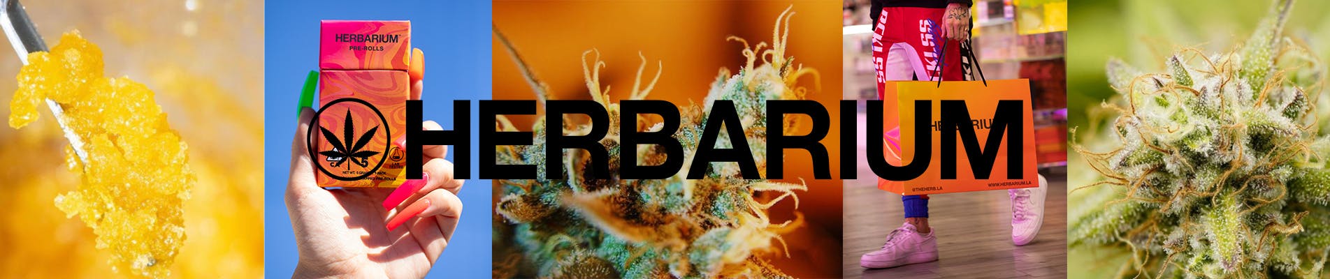 Herbarium brand banner