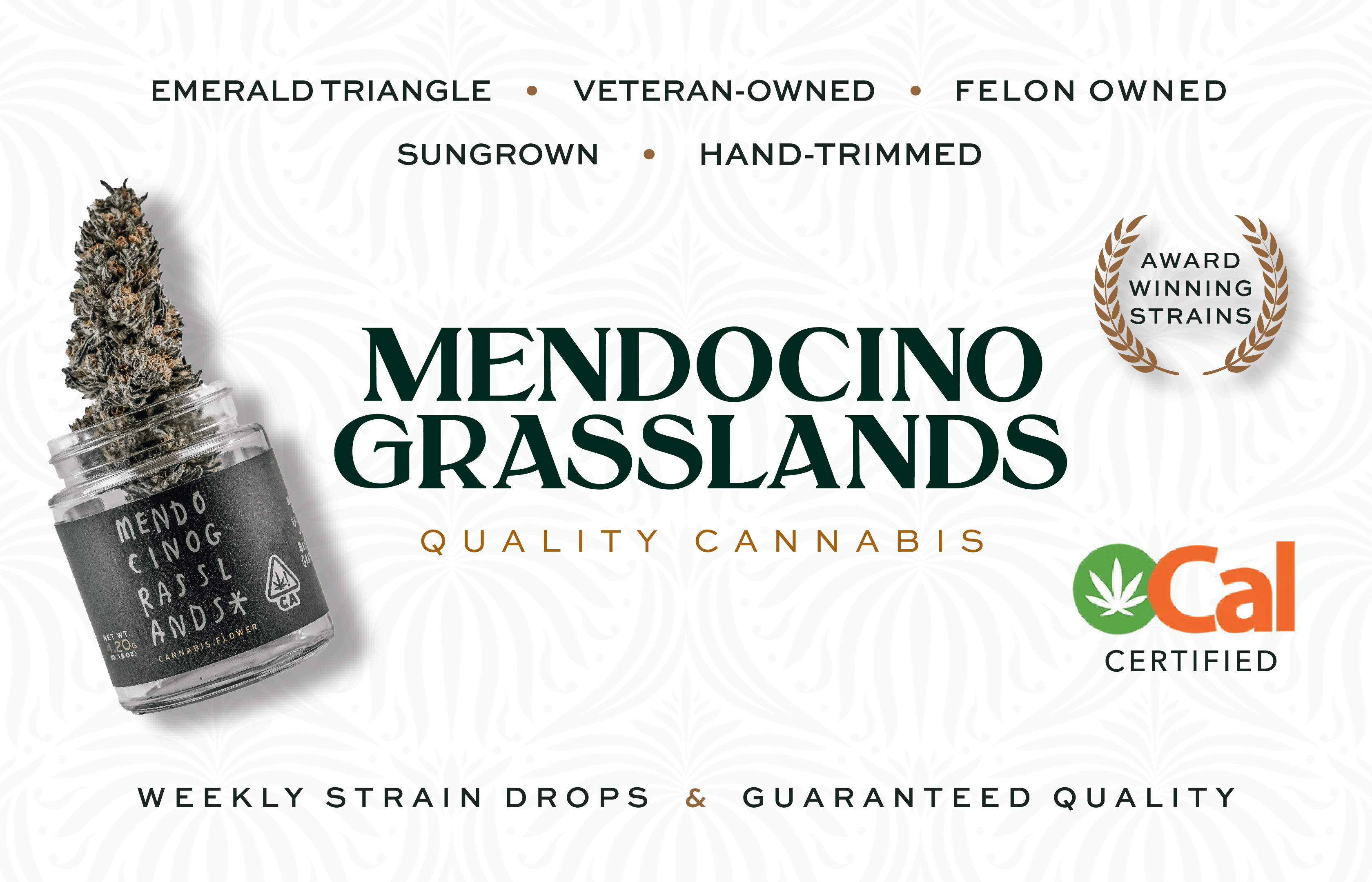 Mendocino Grasslands