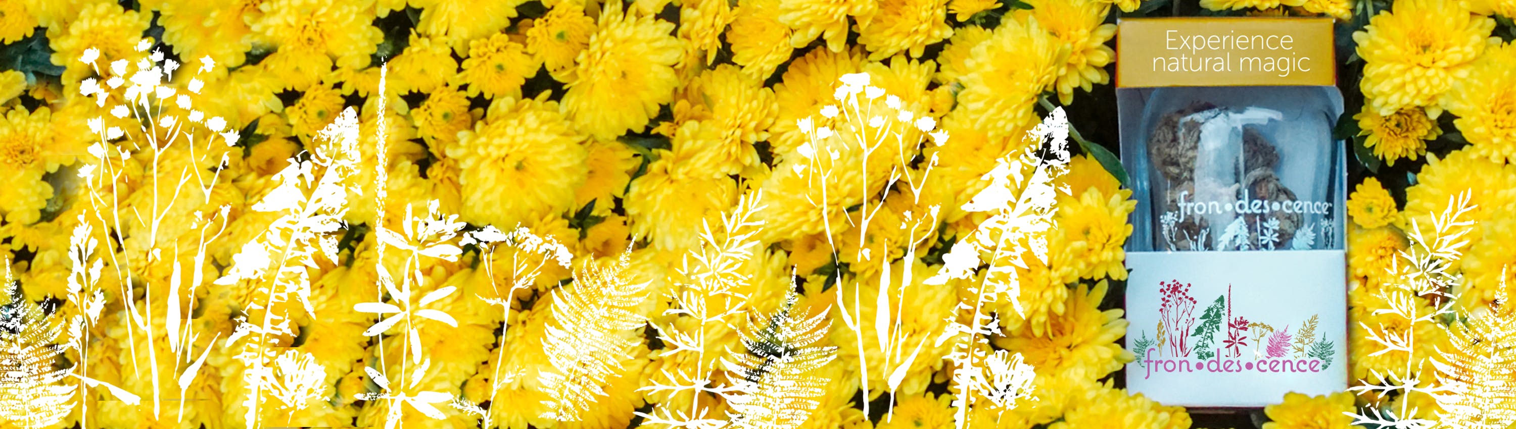 Frondescence brand banner