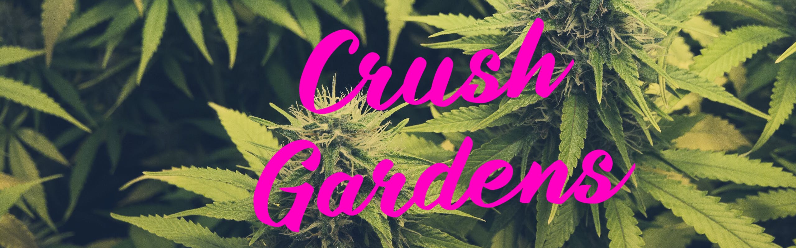 Crush Gardens brand banner