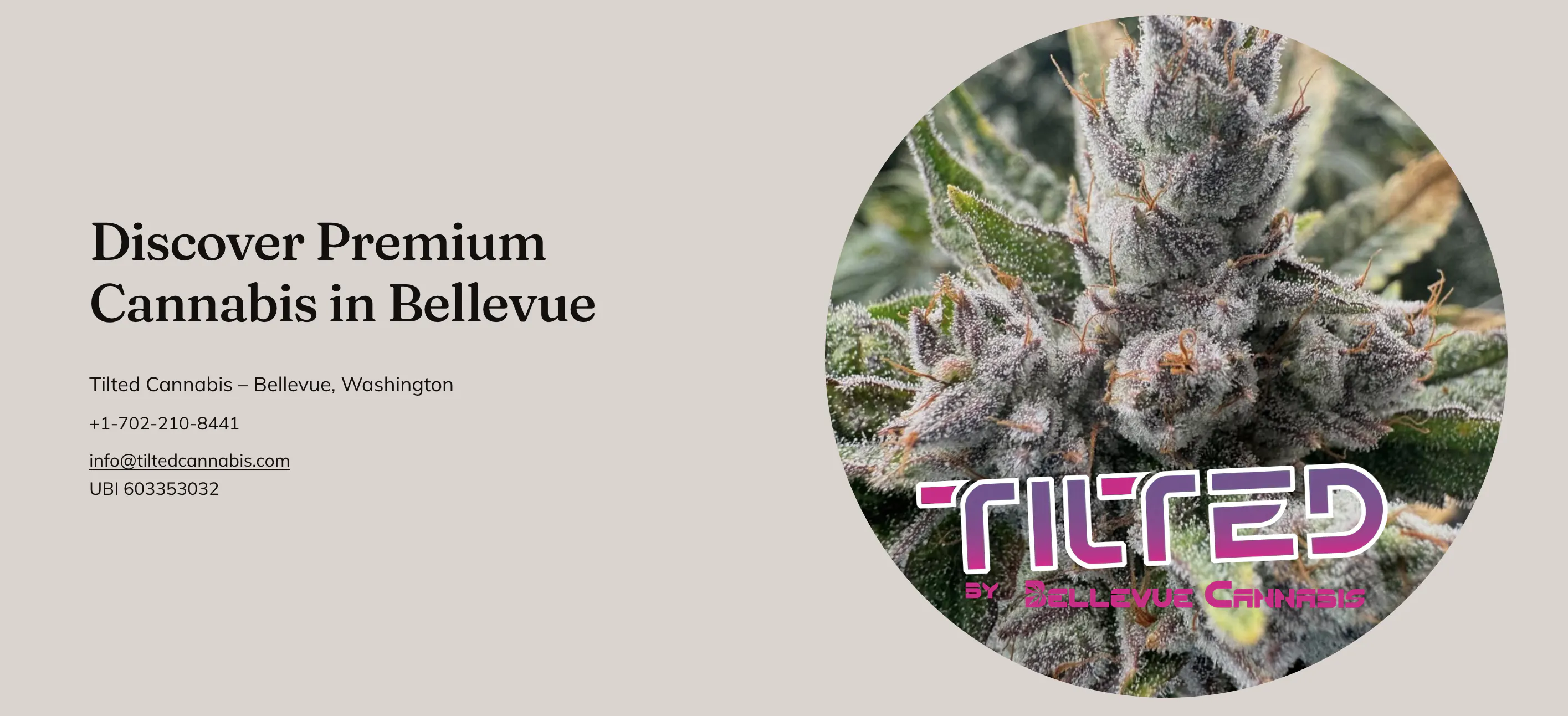 Tilted by Bellevue Cannabis Co brand banner