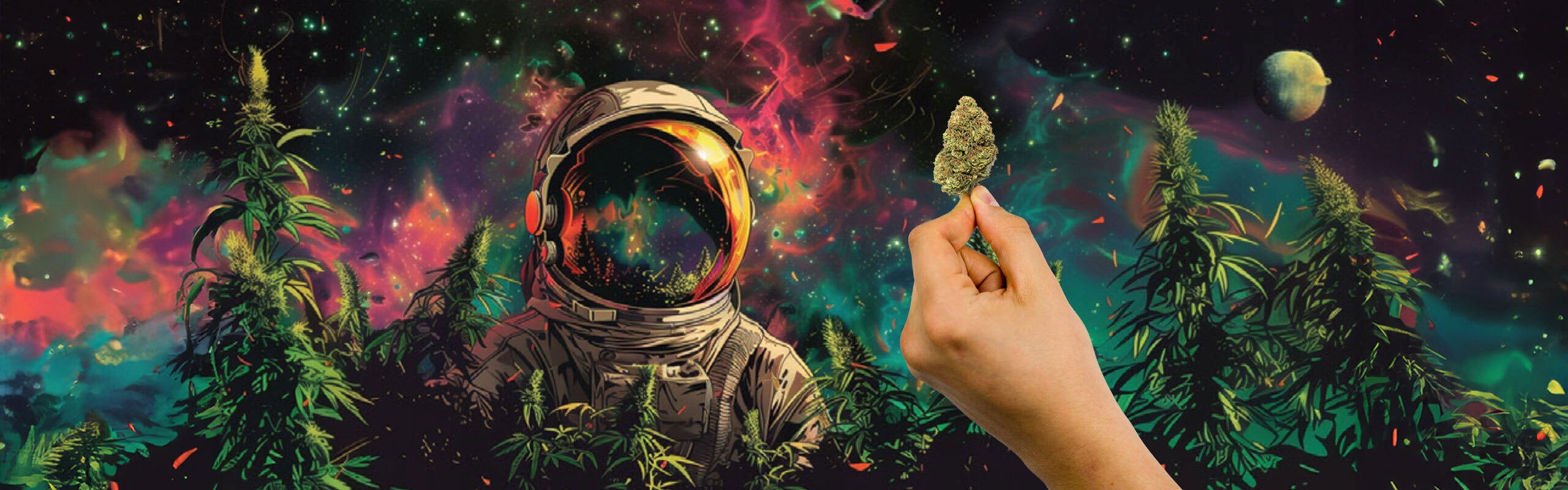 Cosmos THC brand banner
