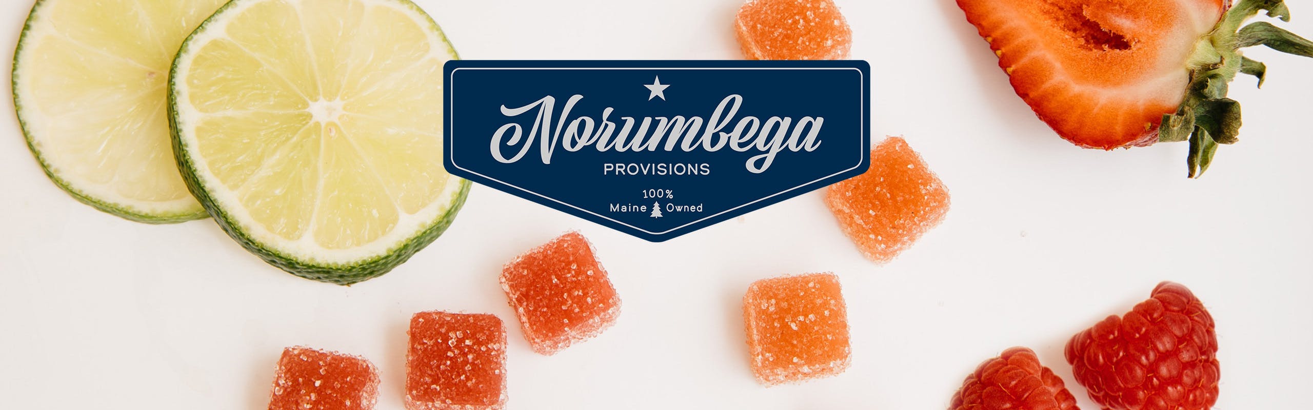 Norumbega Provisions brand banner